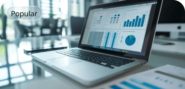 Data Analytics & AI Professional Program