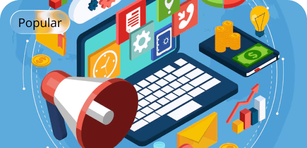 Digital Marketing Professional Program